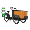 None Electric cargo bike CANGOO Buckle Up
