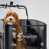 Electric cargo bike CARGOBIKE of SWEDEN Flex Dog