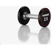 None Hantel HAMMER Compact Dumbbell PU 10 kg