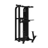 None Jėgos staklės TUNTURI Platinum Dual Assisted Chin Up / Dip Selectorized V-series