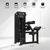 Jėgos staklės TUNTURI Platinum Dual Back / Abdominal Combo Selectorized V-series