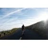 None Rear light GIANT RECON TL 100