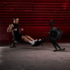 Rowing ergometer HAMMER MAXIMUM SpeedROW Competition