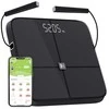 Svarstyklės Weight HAMMER Body Screen TX