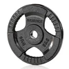 None Ketaus svarmenys GYMSTICK 1,25-20kg (Svoris: 5kg)