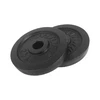 Ketaus svarmenys TUNTURI 2 x 2.5kg