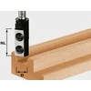 Festool Pirštinė griovelių freza su apsukamomis pjovimo plokštelėmis HW S8 D10/25 WP Z1