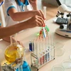 10 VIENETŲ 5 ML PIPETES SU LAŠINTUKU, SKAIDRIU SILIKONU