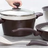 20028 AMBITION Puodas su dangčiu 28 cm, tinka indukcinėms kaitlentėms