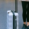 2x PAKALINĖ SPYNĖ, BAGAŽO GAMINĖLIO KOMBINACINĖ SISTEMA SU LAIDO APSAUGA