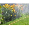 3 kanalų laistymo žarna - 15 m "SPRITZ HOSE" WSH15