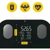 4Fizjo PRO elektroninės analitinės vonios svarstyklės