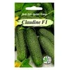 Agrimatco Agurkų sėklos 12vnt. Claudine