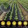 Bradas agroplėvelė Juoda 1,1X100M