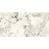 Akmens masės plytelės REGIANO Pilkas POLISHED G1, rekt., 60 x 120 cm