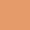 Akriliniai dažai purškiami "liquitex" 400ml, "raw Sienna"