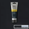 Akriliniai dažai Winsor & Newton Galeria 120 ml, pilki