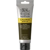 Akriliniai dažai Winsor & Newton Galeria 120 ml, 554 Raw Umber