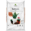 Aktyvuota anglis, 400g
