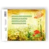 Smiltainis Akvarelinis sąsiuvinis SMLT, A4, 200 g, klijuotas, (10) 0708-205