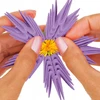 Alexander 3d Origami Gėlių Vazonas 554 Detalės