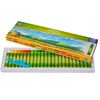 Aliejinės pastelės 24 spalvos Cricco