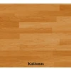 Aliejus Altaxin 0,75l (kaštonas)