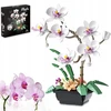 AMŽINŲ KALULŲ STATYBOS GĖLĖS ORCHIDĖJŲ PUOKŠTAS BOTANIKOS GĖLĖS DOVANA