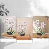 AMŽINŲ KALULŲ STATYBOS GĖLĖS ORCHIDĖJŲ PUOKŠTAS BOTANIKOS GĖLĖS DOVANA