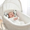 Anti-šoko drugelio pagalvė BabyUniverse kačių vežimėliui