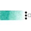 Aquarius Roman Szmal akvareliniai dažai, pusiau dėžutė - 339 Viridian