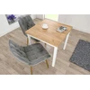 Argos Glamour apmušta kėdė, pilkas aksomas, auksinės kojos, moderni svetainė