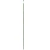 Atraminis kuolelis augalams D14-16mm/H180cm bambukas su PE danga /žalias