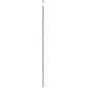 Atraminis kuolelis augalams D8-10mm/H120cm bambukas su PE danga /žalias