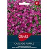 Aubrečių sėklos CASCADE PURPLE, 0,1 g