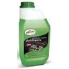 Žalias au&scaron;inimo skystis Turtle Wax&reg; -35&deg;C, 1 l