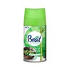 Automatinio oro gaiviklio pakeitimas Brait Tropical Essence 250ml