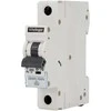 Schelinger Automatinis jungiklis 1P-B10A 10A B