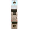 Automatinis jungiklis MCB RX3 Legrand 419206 (40A, 1P, 230V, 6kA)