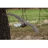 Bradas Balandžių baidytuvas (skrendantis sakalas) DIDELIS 54 cm CTRL-BR104