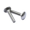 Baldiniai varžtai DIN603 M6 x 40 mm, 10 vnt., cinkuoti