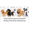 BALODY Dešros šuniui DACHSHUNDER KONSTRUKCINIAI BLOKAI (maži) 836 vnt.