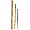 Besk Bambukinė atrama 210 cm Ruda
