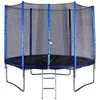 Batutas su tinklu Spartan 250 cm