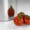 BAUMALU - Nerūdijančio plieno cateringas - 32 cm - 19 L