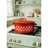 BB Emaliuotas puodas 2.5l Retro Low Lid Gas Induction Vengrinis fi 21cm
