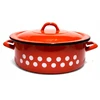 BB Emaliuotas puodas 3,5l Retro Low Lid Gas Induction Vengrijos fi 23cm