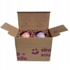 B.box vandens buteliukų rinkinys vaikams, 2 vnt. (tutti fruitti + boysenberry) + šiaudai