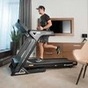 Bėgimo takelis inSPORTline Gardian G6 PRO (iki 140kg, 4AG)