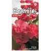 Begonijų sėklos 15 sėklų Feja F1